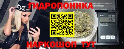 дживик Новозыбков