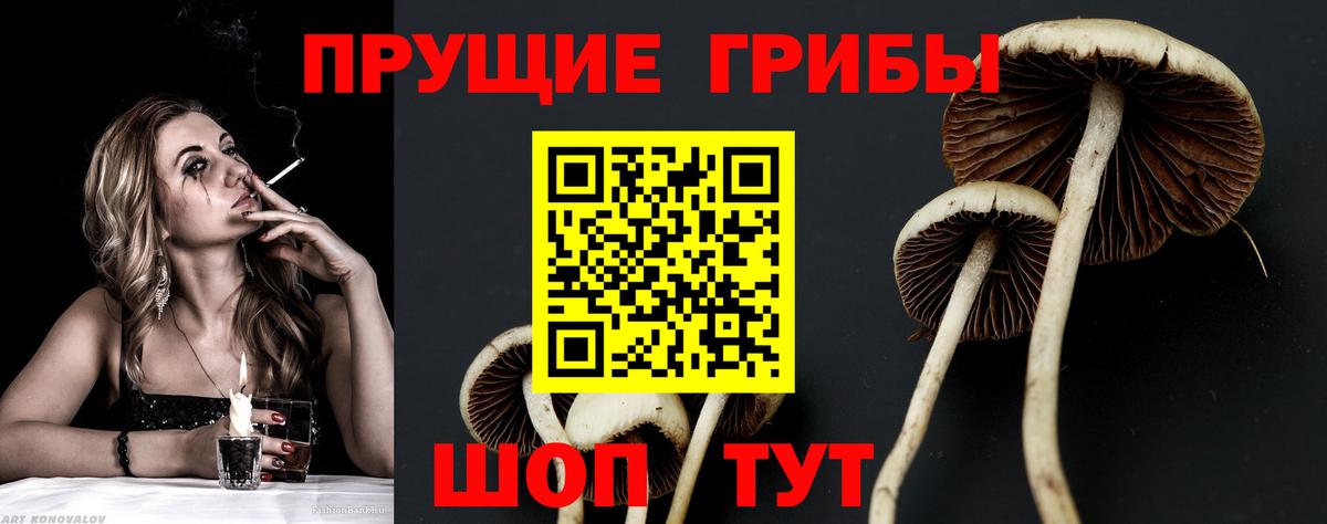 Галлюциногенные грибы прущие грибы Унеча